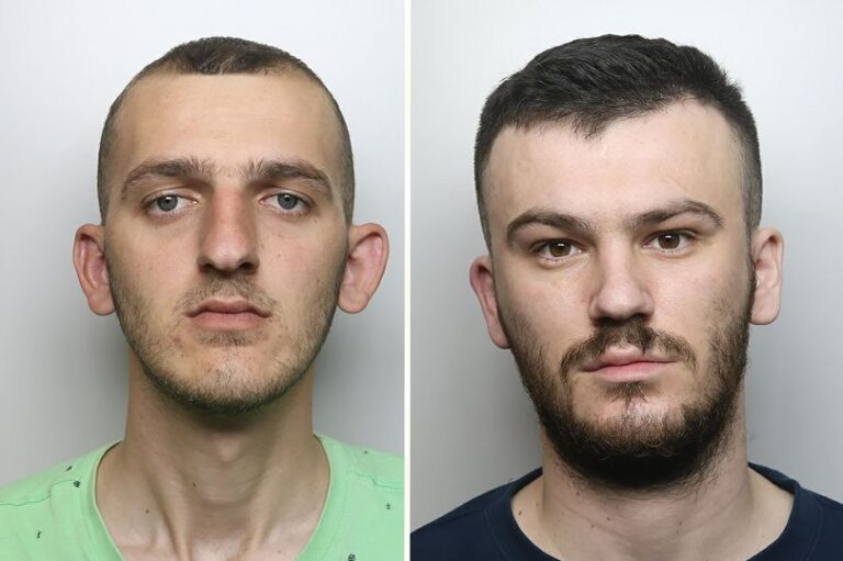 Britani, emigrantët shqiptarë kapen në fermën e kanabisit