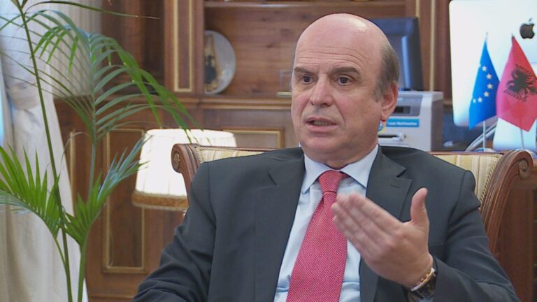 Panariti: Opozita dhe qytetarët do bëjnë çdo gjë që të ndalojnë zhvillimin e zgjedhjeve të deformuara