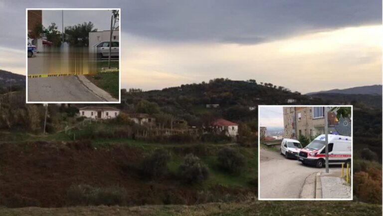 Motra “molla e sherrit”, gardiani vret dy të rinjtë. Kallëzimi dhe dinamika e krimit