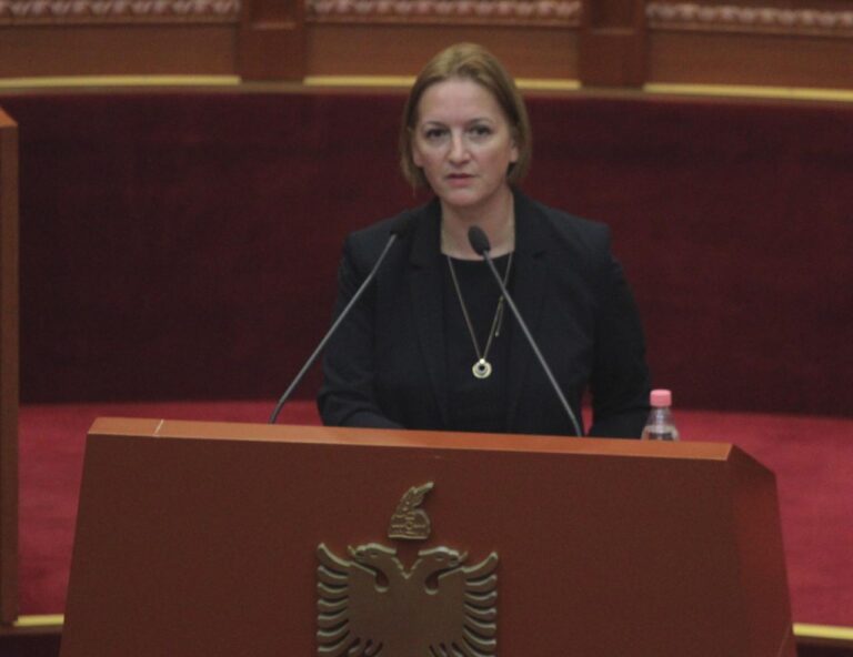 Buxheti 2020, Denaj: Prioritet rindërtimi i vendit, nuk do të mungojnë investimet