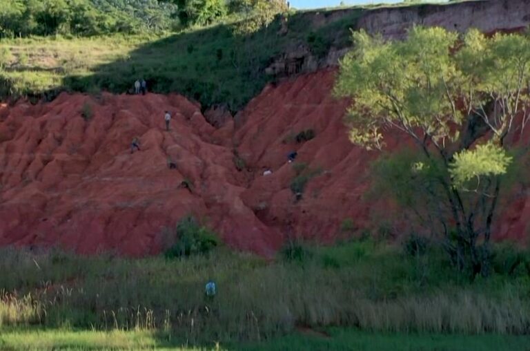 Brazili, një minierë ari për paleontologët