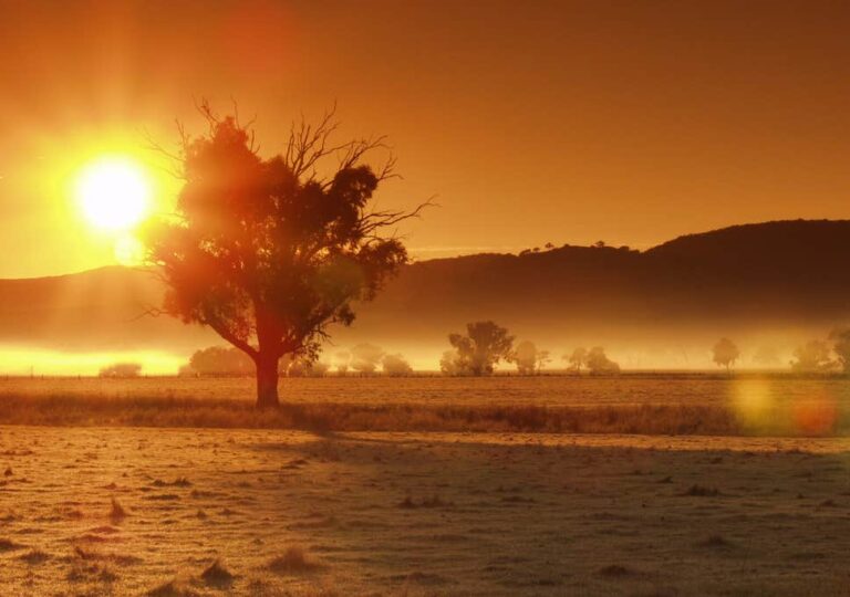 Australia vijon të jetë në alarm nga zjarret