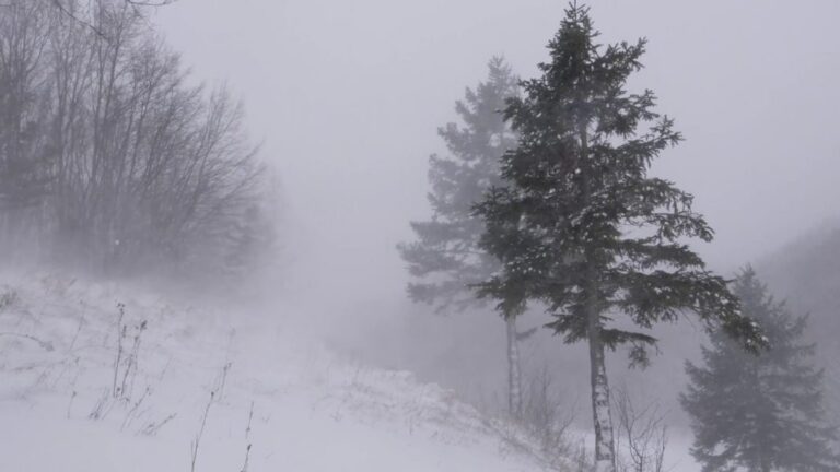 Diell dhe rritje temperaturash, parashikimi i motit