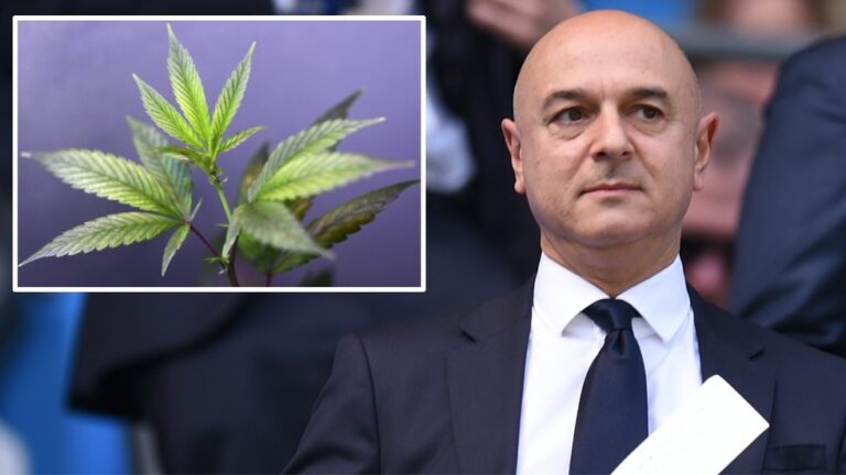 E bujshme/ Presidenti i Tottenham Hotspur blen depon me 3 hektarë kanabis