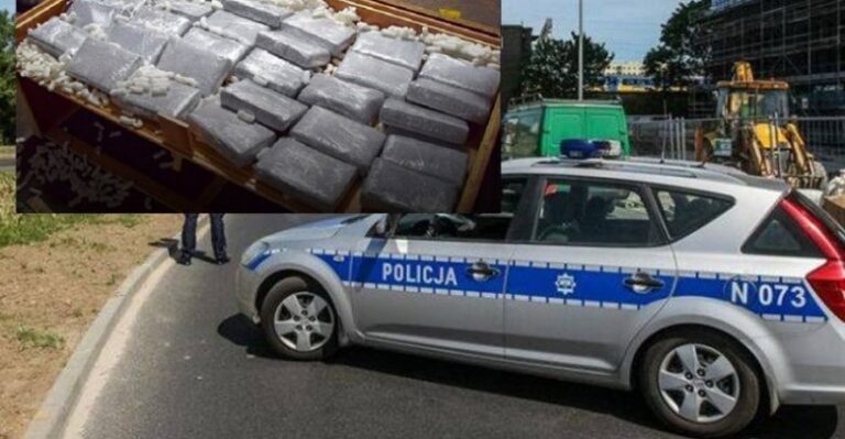 Sekuestrohen 2 ton kokainë, vlera në treg arrinte 470 milionë euro