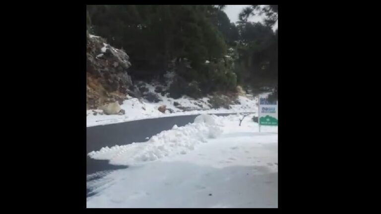 Bora zbardh Llogaranë, hidhet kripë në rrugë për të shmangur ngricat (Video)