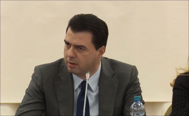 Video/ PD organizon tryezën për lirinë e medias, Basha: Qeveria ofensivë kundër lirisë së shprehjes