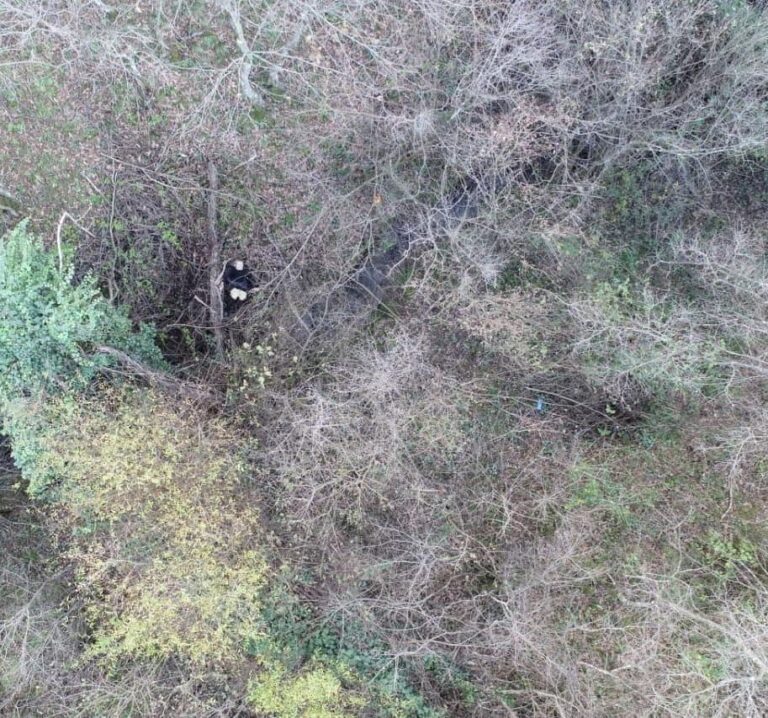 Dalin pamjet me dron, gjendet pas 24 orësh e moshuara që u zhduk nga banesa e vajzës në Gjirokastër