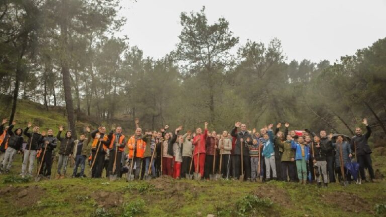 Mbillen pemë në kodrën që rrezikohet nga erozioni, Veliaj: Të rikuperojmë dëmin