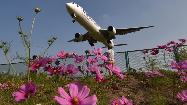 Këto janë aeroportet dhe linjat ajrore më të sakta në botë për vitin 2020