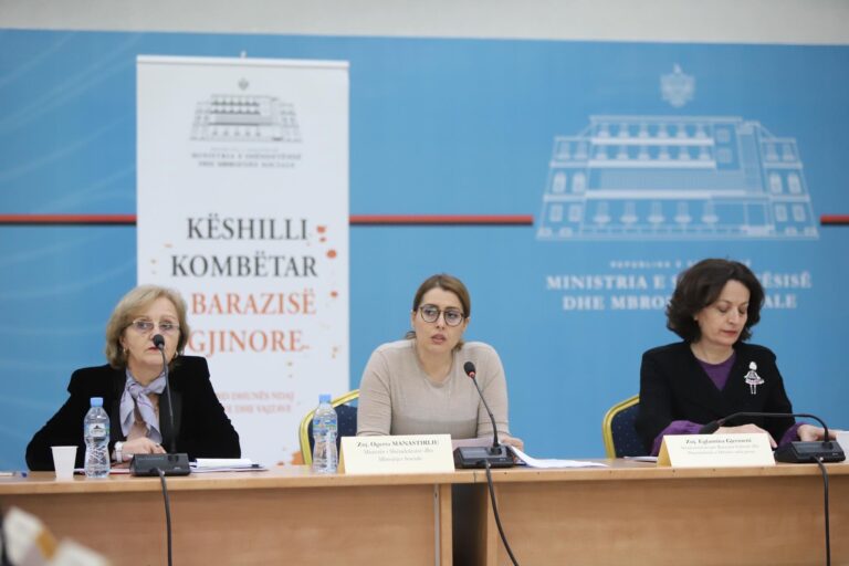Këshilli kombëtar i barazisë gjinore, Manastirliu: Mbështetje në terma financiarë për gratë e dhunuara