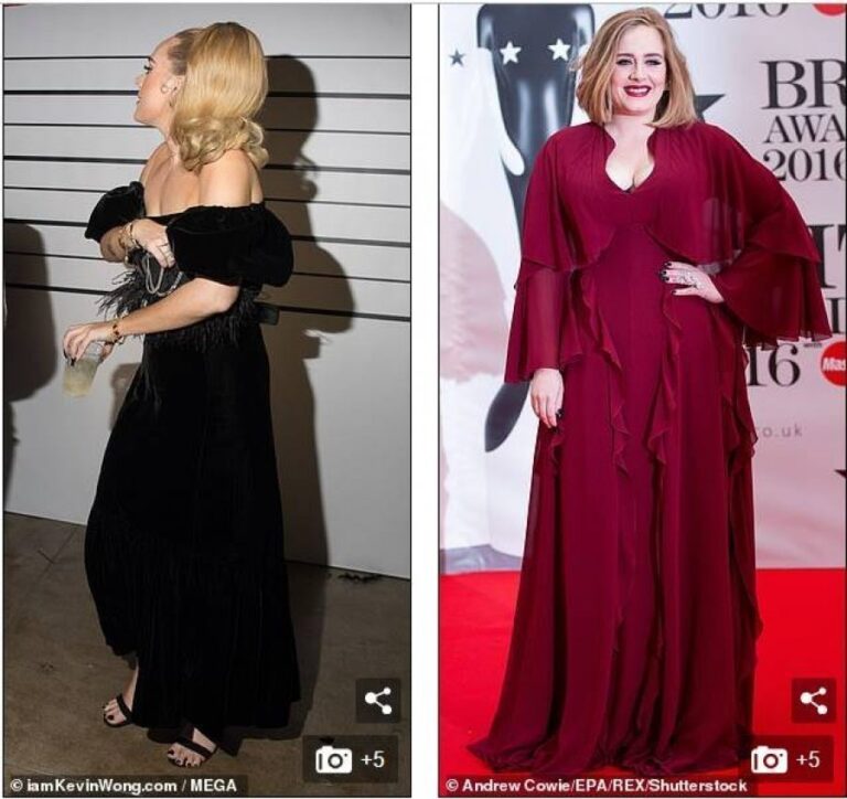 Adele u dobësua dhe arsyeja qenka djali i saj