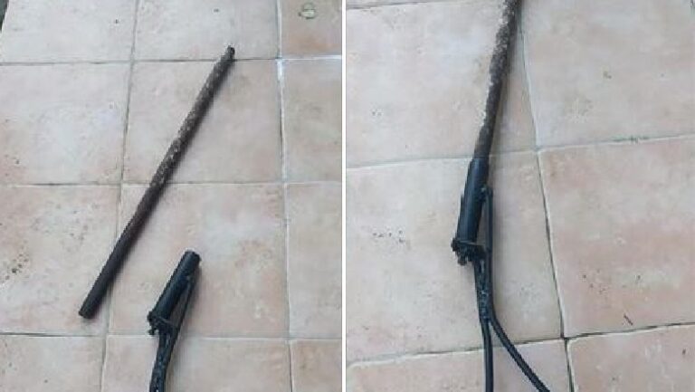 Habisin adoleshentët e Divjakës/ Shpikin armën e pazakontë për të gjuajtur rosa në Karavasta