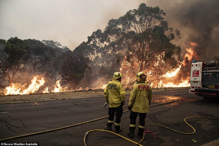 Australinë e shkrumbuan njerëzit, mbi 180 të arrestuar