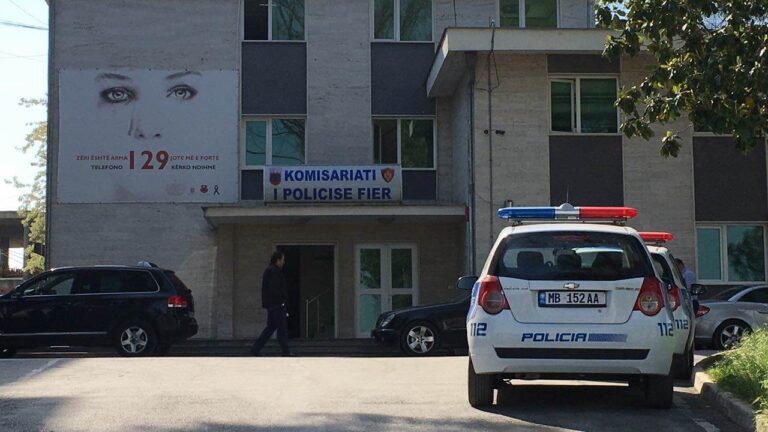 Roskovec/Djali vret babanë, e qëllon me shkop në kokë