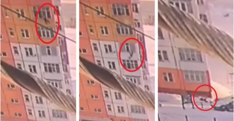 VIDEO/ Ndodh edhe kjo, bie nga kati i nëntë, gruaja ngrihet në këmbë dhe fillon të ecë