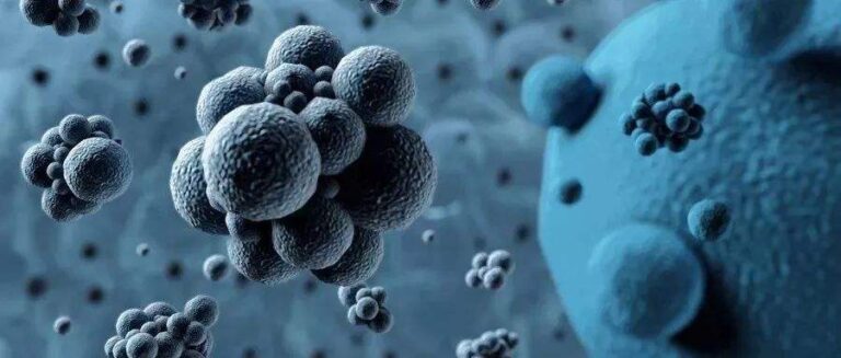 Kina do marrë pjesë në mbledhjen e OBSh-së për epideminë e pneumonisë së koronavirusit të ri