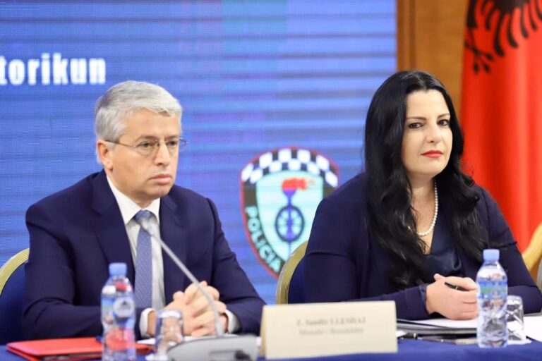Lleshaj: Kemi më shumë të vrarë nga aksidentet, se nga krimi