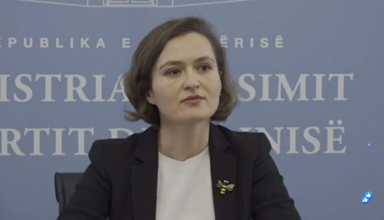 Besa Shahini: Jo vetëm mësim online por dhe shërbim psiko-social, fëmijët kanë nevojë