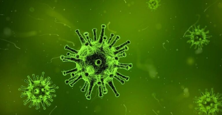 Një tjetër virus i panjohur habit shkencëtarët, sapo është zbuluar në Brazil