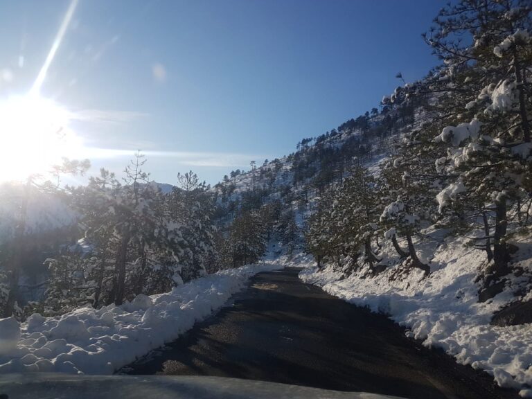 Situata me motin, ARRSH: Të gjitha akset, të kalueshme