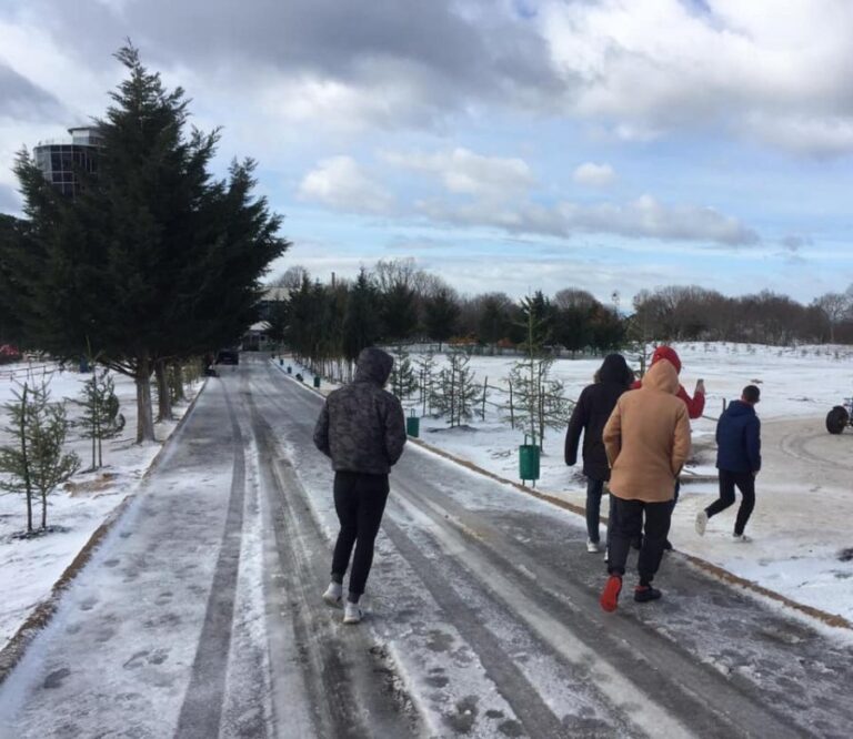FOTOLAJM/ Dëbora e parë zbardh malin e Dajtit