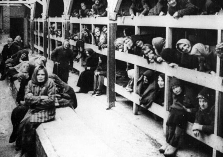 Historianët kundër ”shtrembërimit të Holokaustit”