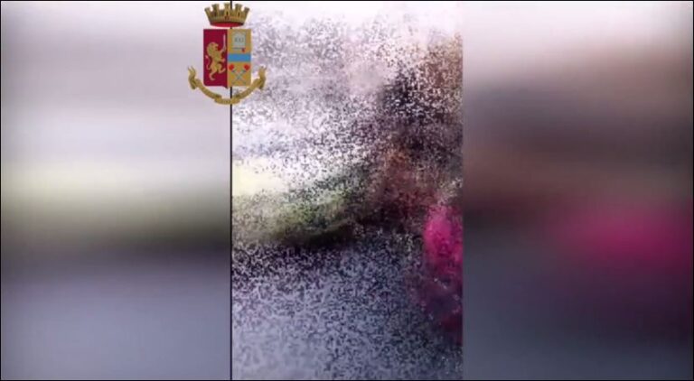 Vajzat rrahin shoqet e shkollës dhe e postojnë videon në rrjetet sociale (Video)
