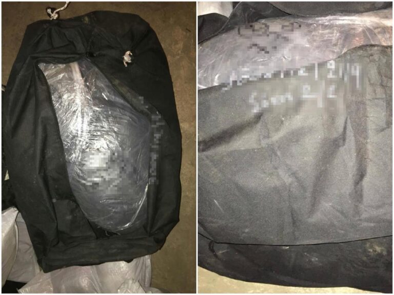Nuk iu bind policisë greke, arrestohet shqiptari me 36.5 kg kanabis në makinë