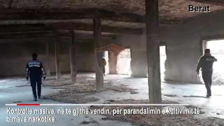 Kontrolle në të gjithë vendin për kultivimin e kanabisit, në pranga një person
