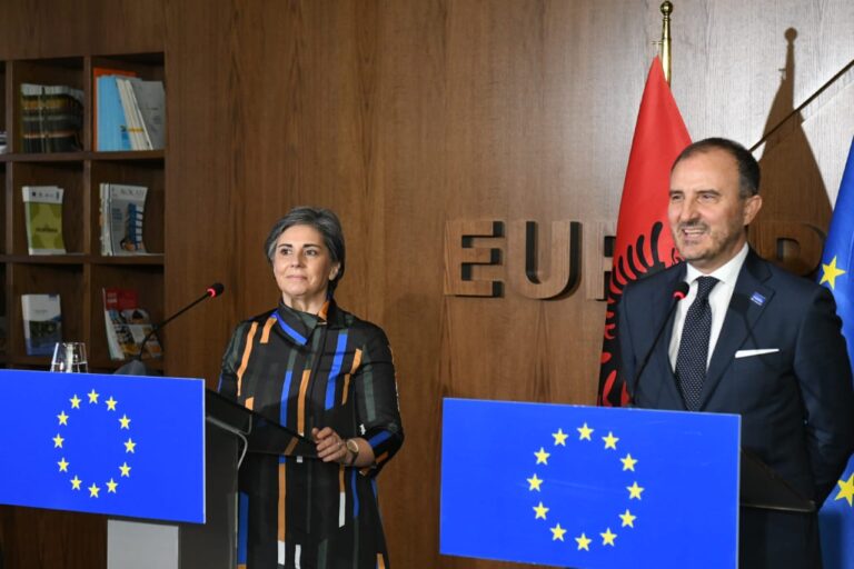 Zgjedhje të parakohshme? Raportuesja për Shqipërinë në PE: Të zgjidhet kriza