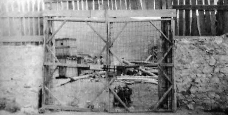 Dëshmia: pidemia e ’59-ës, kapi mbi 400 vetë nga ne të burgosurit e Kënetës së Thumanës, por aty ishin vetëm pesë shtretër