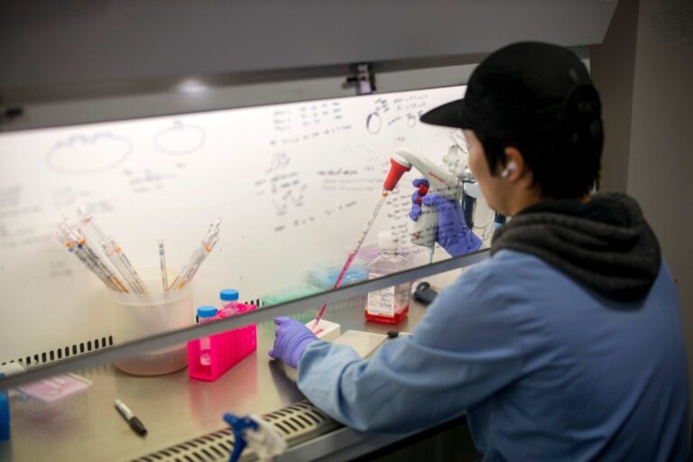 Merr fund epidemia e ebolës
