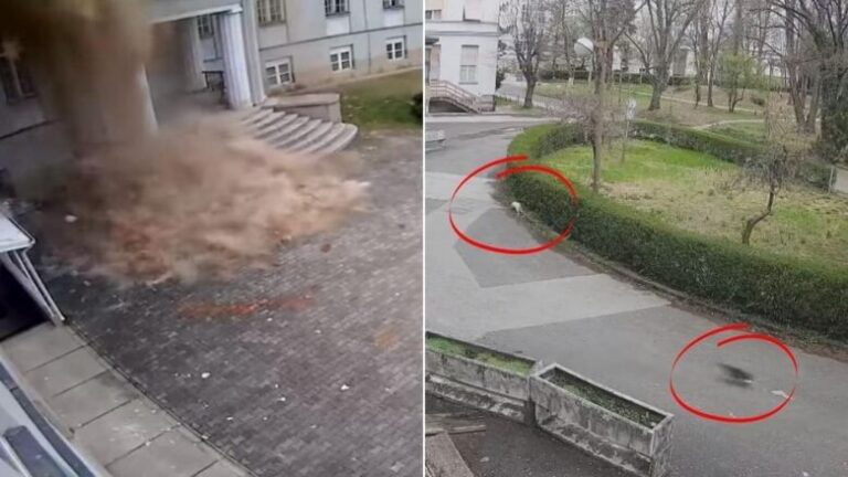 Momenti kur Fakulteti i Mjekësisë në Zagreb shembet nga tërmeti i fuqishëm (Video)