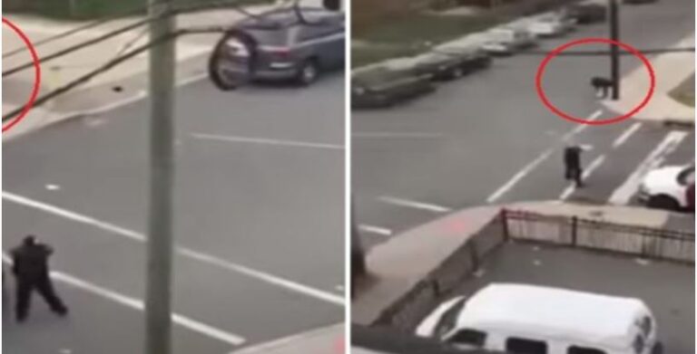 Policia amerikane ekzekuton shqiptarin