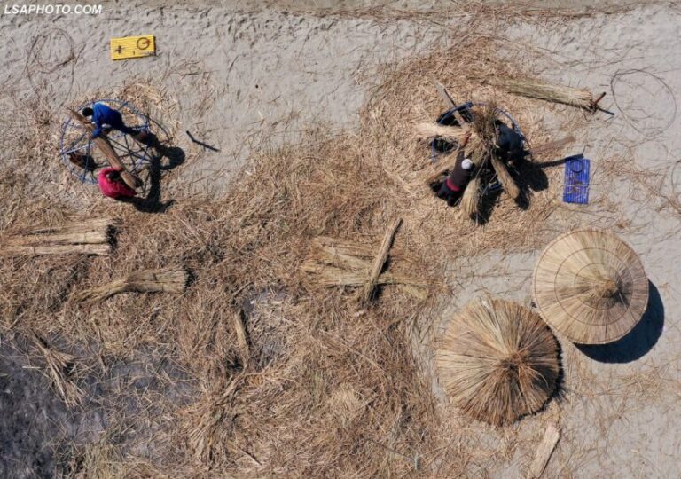 Do ketë plazh? Punëtorët në Shqipëri thurin çadrat (FOTO)