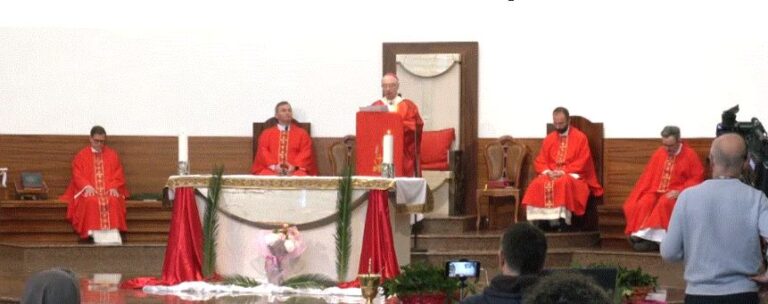 E diela e dafinave në katedralen e “Shen Palit”, për shkak të covid-19, pak besimtarë gjatë meshës së shenjtë