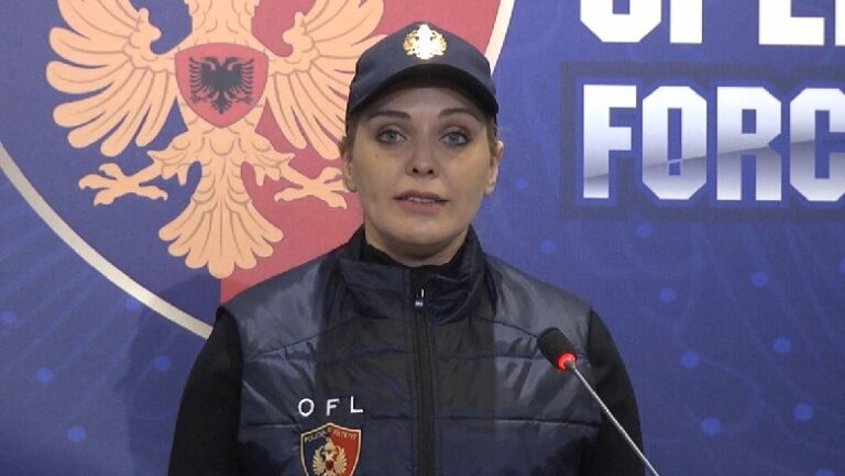 Rrëmbim, vrasje, vjedhje e drogë/ OFL në Gjirokastër