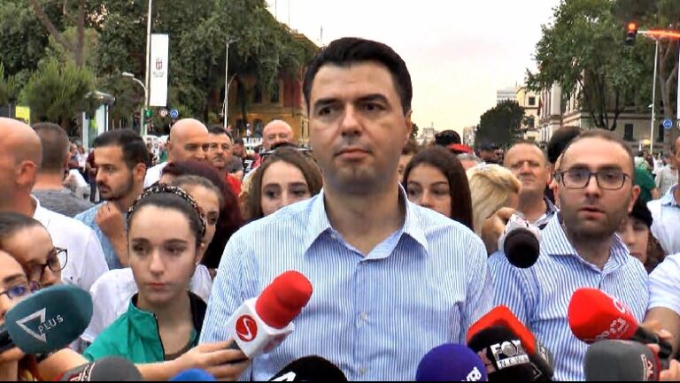 Në vazhdim opozita do të përvijojnë hapat! Ja çfarë zbuloi Basha nga protesta e artistëve