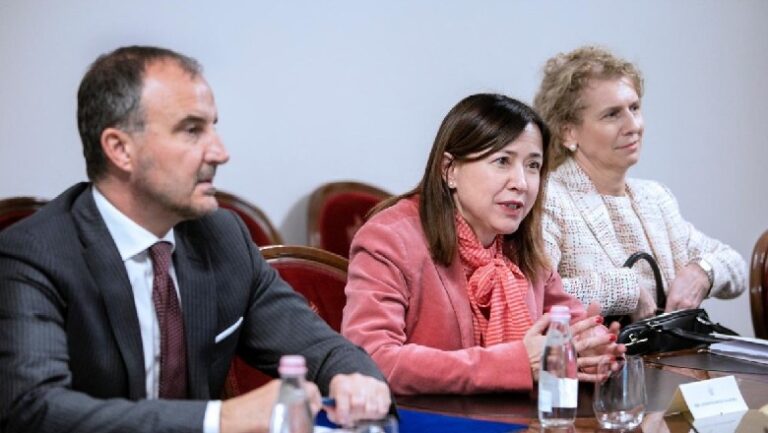 Po krijojmë një shtet pa zemër, pa shpirt dhe pa sovranitet kombëtar