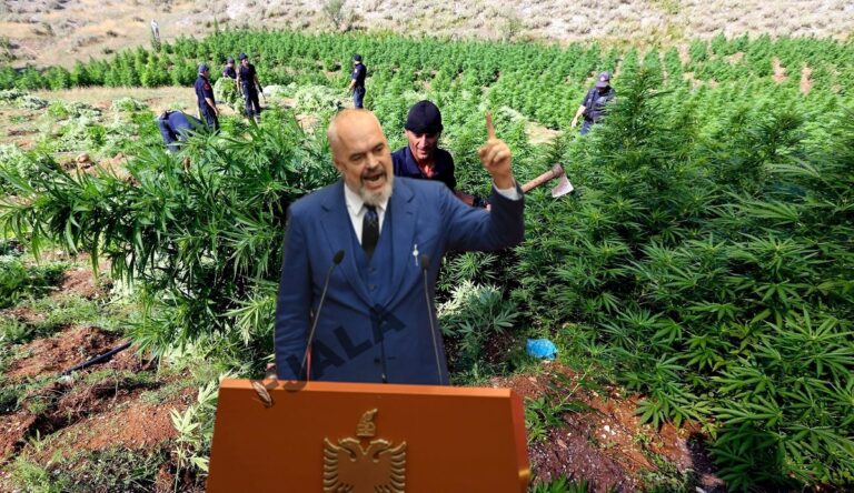 “I Madhi” që po habit dynjanë me ofertën e marramendjes me kanabisin medicinal