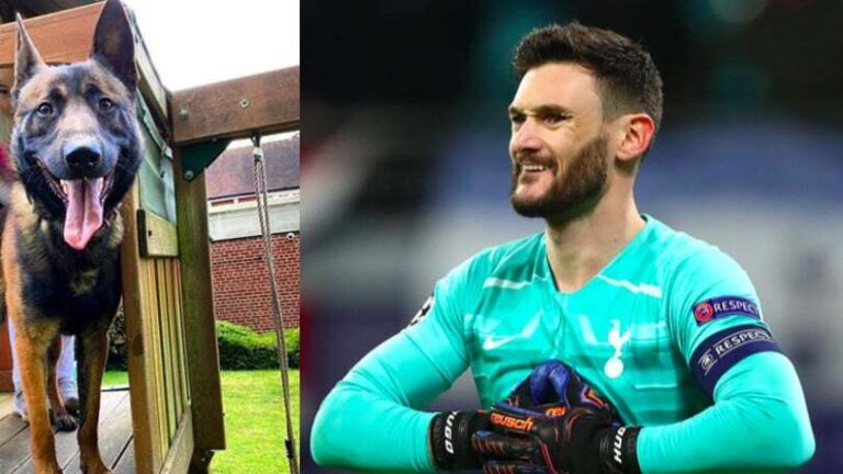 Lloris blen një qen me vlerë 17 mijë euro për të mbrojtur familjen