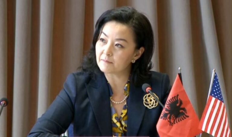 Protesta për Teatrin Kombëtar, Ambasadorja e SHBA në Kryeministri