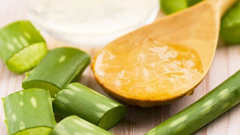 Vaj ulliri dhe aloe vera. Trajtimi ushqyes që ju duhet për shëndetin