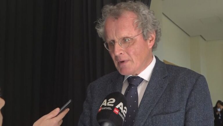 Liria e medias në Shqipëri, Borchardt: Vetërregullimi, opsioni më i mirë