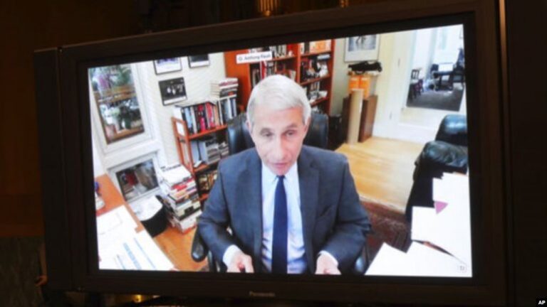 Zbardhet debati, Dr. Fauci: Kujdes me hapjen e shkollave, fëmijët të rrezikuar! Senatori: Megjithë respektin që kam për ju…