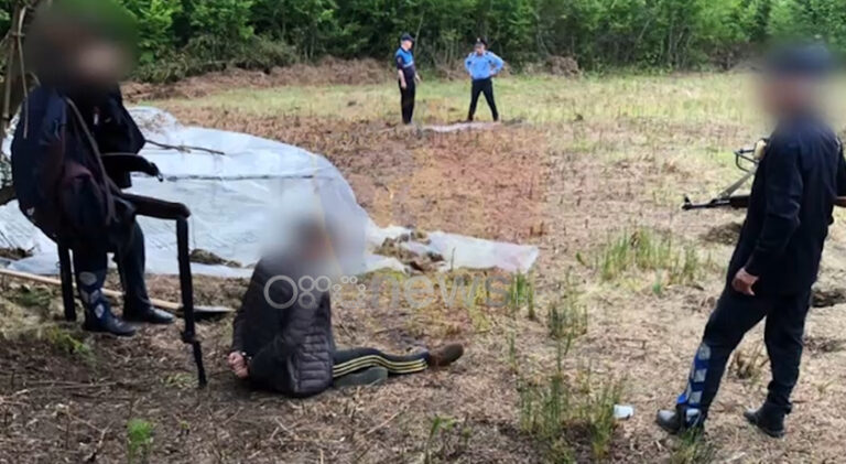 Peqin, sekuestrohen 300 kubikë me fidanë kanabisi, dy në pranga dhe një në kërkim