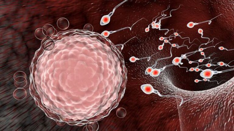 Studiuesit gjejnë koronavirus në spermën e burrave: Çfarë do të thotë kjo?