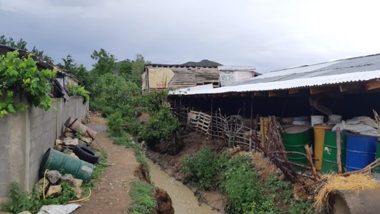 Përmbyten shtëpi dhe bagëti, rrezikohen 60 banorë në Korçë (Foto)