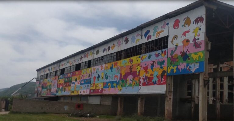 Ngjyra mbi godinat industriale, flora e fauna e Ohrit “i jep jetë” fasadës në Pogradec